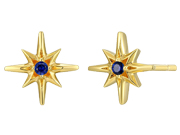 North Star Earrings by Reign